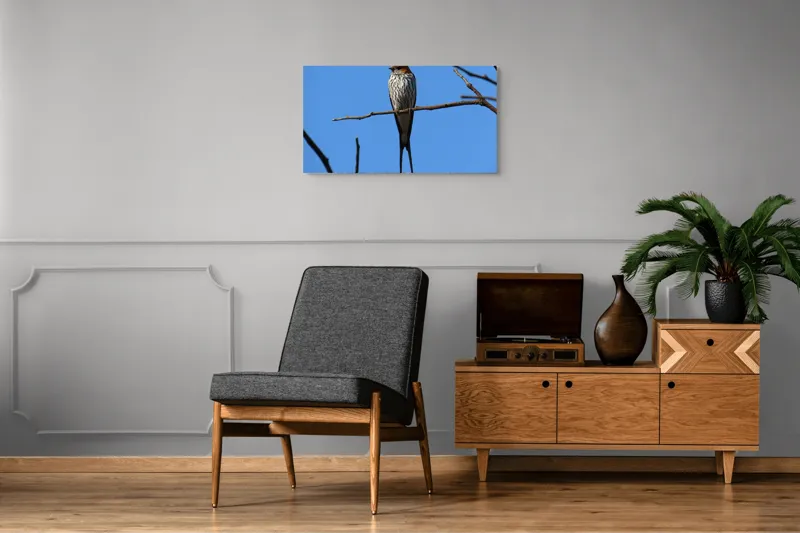 Tablou Canvas, "Rândunică mândră pe cerul albastru", Păsare, Ramură, Cer, Penaj, Natură, Frumusețe, Liniște, 90 x 50 cm – poza 6