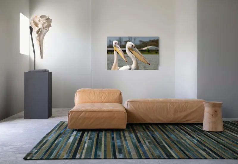 Tablou Canvas, "Pelicani la malul apei", Nu pot spune cine sunt în imagine, dar sunt doi pelicani albi cu ciocuri proeminente, aflați lângă o apă., 90 x 50 cm – poza 8