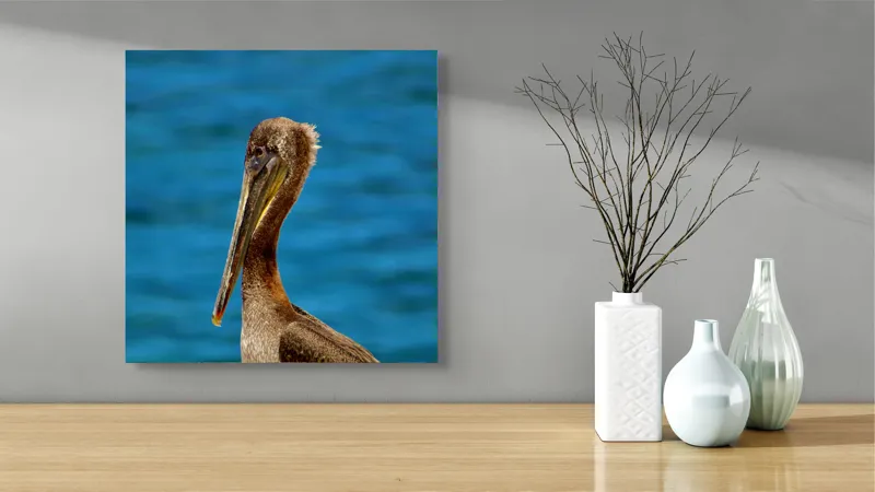 Tablou Canvas, "Pelican visând la orizont albastru", Pasăre, Pelican, Albastru, Ocean, Penaj, Cioc, Natură, Apă, Portret, Wildflife, 50 x 50 cm – poza 3