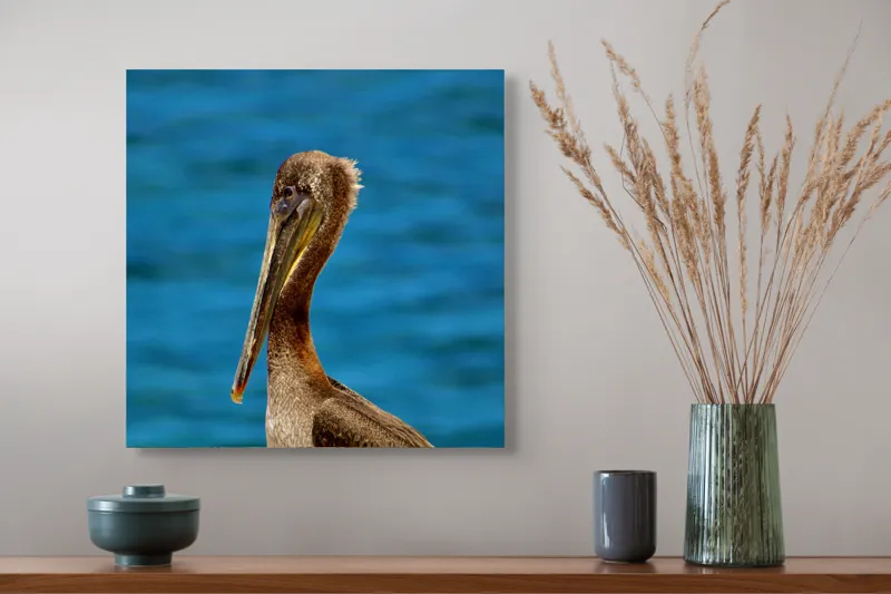 Tablou Canvas, "Pelican visând la orizont albastru", Pasăre, Pelican, Albastru, Ocean, Penaj, Cioc, Natură, Apă, Portret, Wildflife, 50 x 50 cm – poza 4