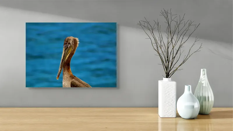Tablou Canvas, "Pelican visând la orizont albastru", Pasăre, Pelican, Albastru, Ocean, Penaj, Cioc, Natură, Apă, Portret, Wildflife, 54 x 39 cm – poza 3