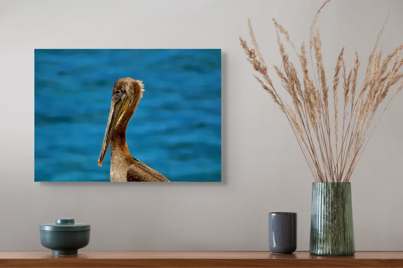 Tablou Canvas, "Pelican visând la orizont albastru", Pasăre, Pelican, Albastru, Ocean, Penaj, Cioc, Natură, Apă, Portret, Wildflife, 54 x 39 cm – poza 4