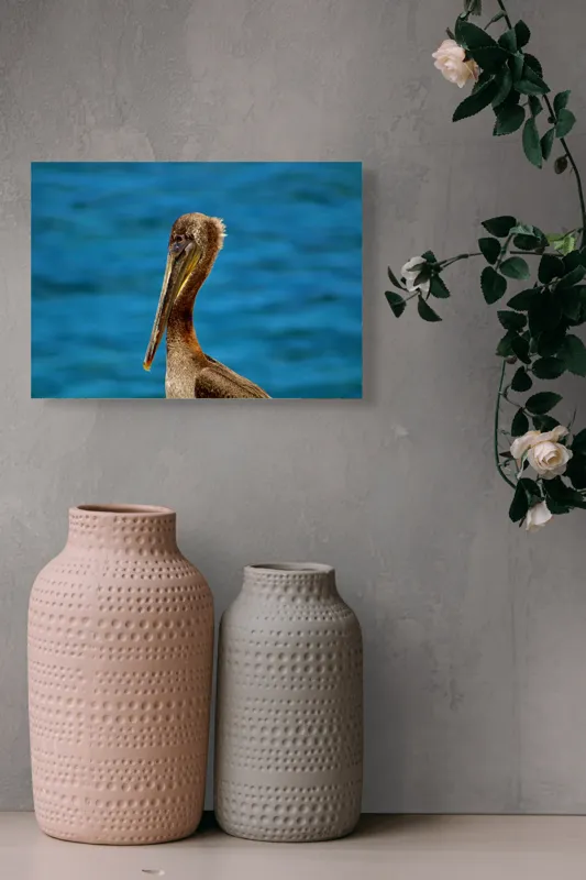 Tablou Canvas, "Pelican visând la orizont albastru", Pasăre, Pelican, Albastru, Ocean, Penaj, Cioc, Natură, Apă, Portret, Wildflife, 54 x 39 cm – poza 8