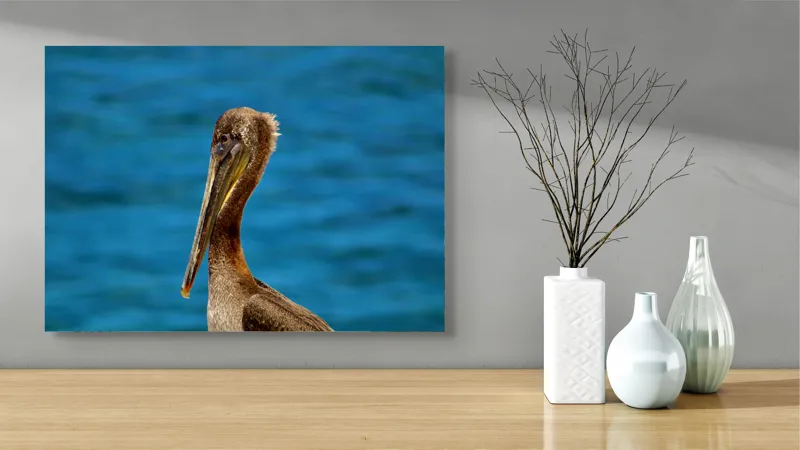 Tablou Canvas, "Pelican visând la orizont albastru", Pasăre, Pelican, Albastru, Ocean, Penaj, Cioc, Natură, Apă, Portret, Wildflife, 70 x 50 cm – poza 3