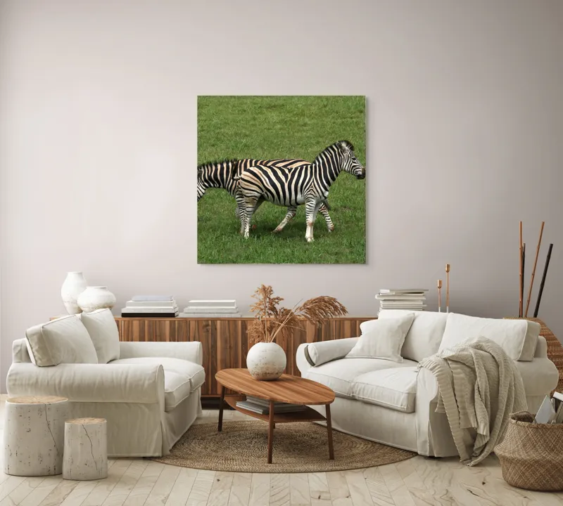 Tablou Canvas, "Zebre pășunând pe câmpie verde", Zebre, Iarbă, Dungi, Plimbare, Natură, Safari, Africa, Animale, Strălucire, Verde, Libertate, 100 x 100 cm – poza 3