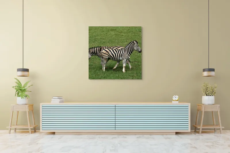 Tablou Canvas, "Zebre pășunând pe câmpie verde", Zebre, Iarbă, Dungi, Plimbare, Natură, Safari, Africa, Animale, Strălucire, Verde, Libertate, 100 x 100 cm – poza 5