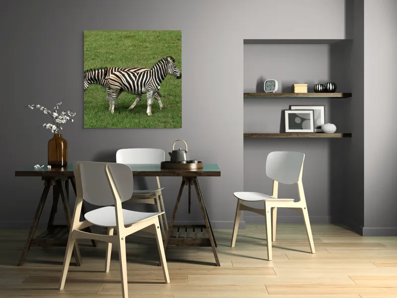 Tablou Canvas, "Zebre pășunând pe câmpie verde", Zebre, Iarbă, Dungi, Plimbare, Natură, Safari, Africa, Animale, Strălucire, Verde, Libertate, 100 x 100 cm – poza 6