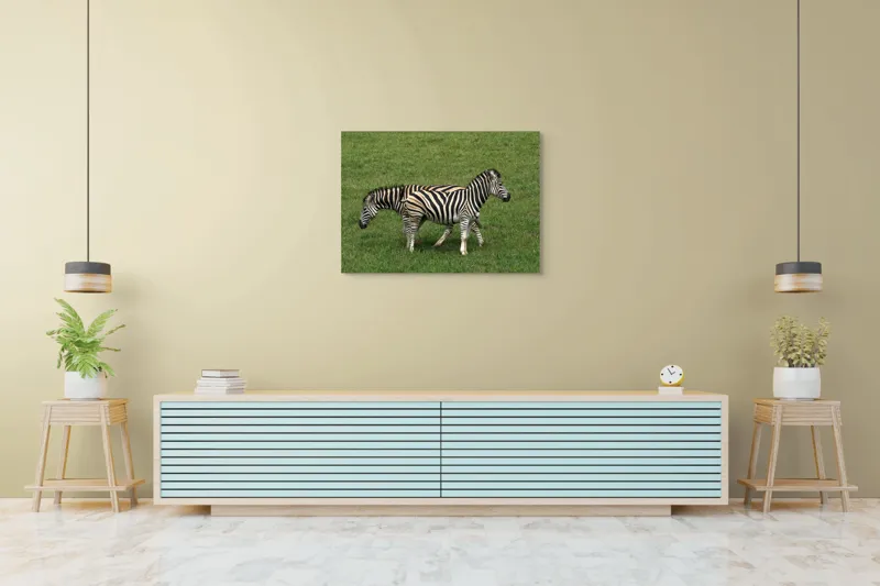 Tablou Canvas, "Zebre pășunând pe câmpie verde", Zebre, Iarbă, Dungi, Plimbare, Natură, Safari, Africa, Animale, Strălucire, Verde, Libertate, 100 x 70 cm – poza 4
