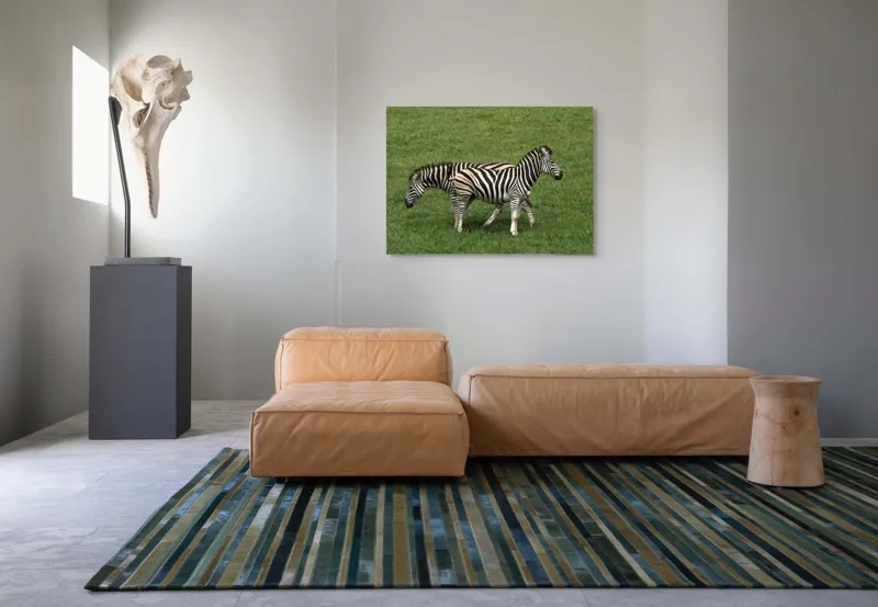Tablou Canvas, "Zebre pășunând pe câmpie verde", Zebre, Iarbă, Dungi, Plimbare, Natură, Safari, Africa, Animale, Strălucire, Verde, Libertate, 100 x 70 cm – poza 7