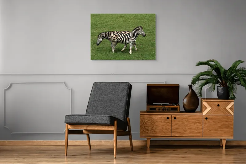 Tablou Canvas, "Zebre pășunând pe câmpie verde", Zebre, Iarbă, Dungi, Plimbare, Natură, Safari, Africa, Animale, Strălucire, Verde, Libertate, 100 x 70 cm – poza 8