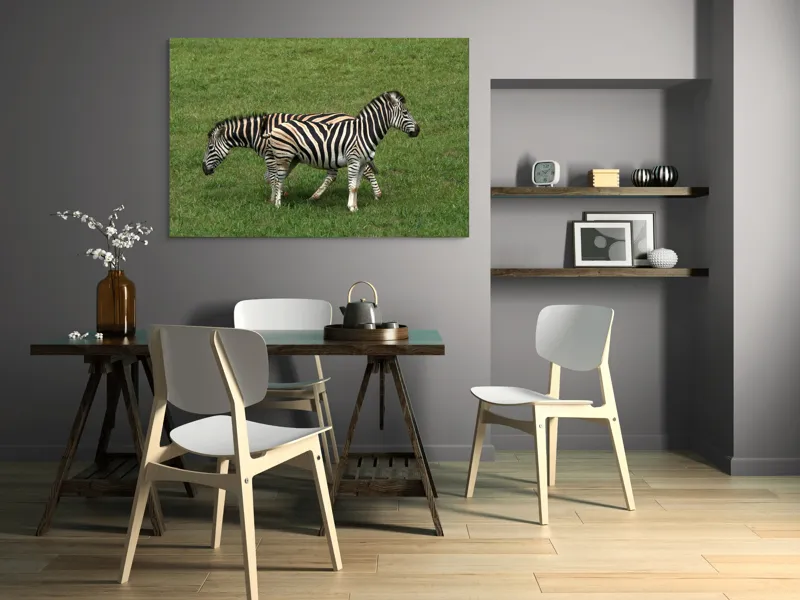 Tablou Canvas, "Zebre pășunând pe câmpie verde", Zebre, Iarbă, Dungi, Plimbare, Natură, Safari, Africa, Animale, Strălucire, Verde, Libertate, 150 x 100 cm – poza 5