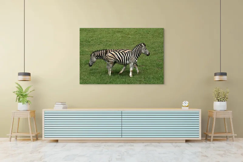 Tablou Canvas, "Zebre pășunând pe câmpie verde", Zebre, Iarbă, Dungi, Plimbare, Natură, Safari, Africa, Animale, Strălucire, Verde, Libertate, 150 x 100 cm – poza 6