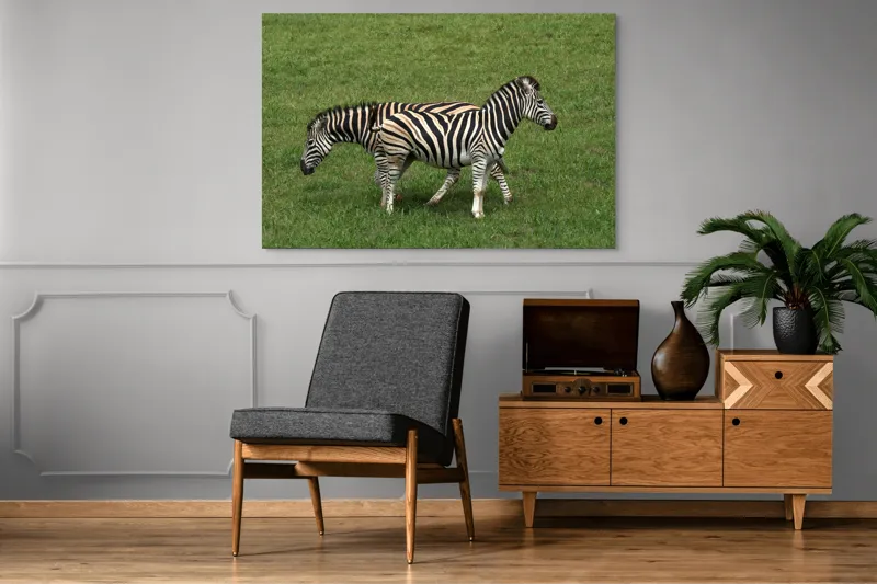 Tablou Canvas, "Zebre pășunând pe câmpie verde", Zebre, Iarbă, Dungi, Plimbare, Natură, Safari, Africa, Animale, Strălucire, Verde, Libertate, 150 x 100 cm – poza 8