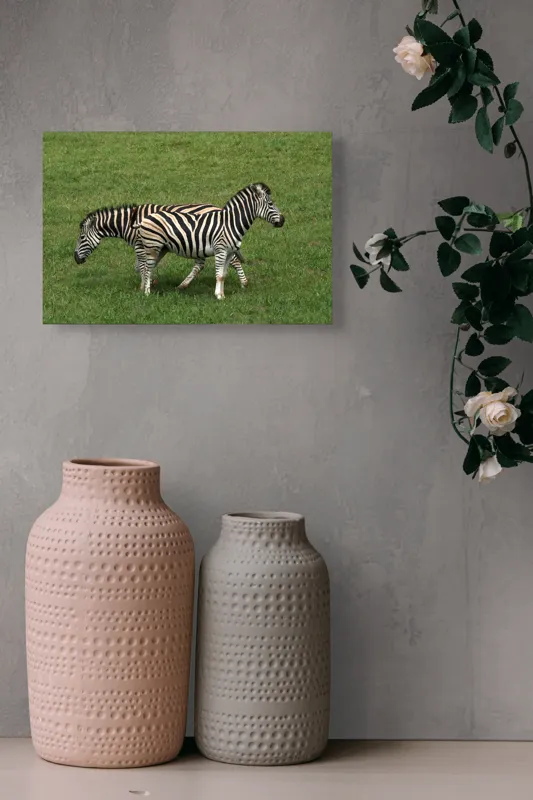 Tablou Canvas, "Zebre pășunând pe câmpie verde", Zebre, Iarbă, Dungi, Plimbare, Natură, Safari, Africa, Animale, Strălucire, Verde, Libertate, 39 x 26 cm – poza 4