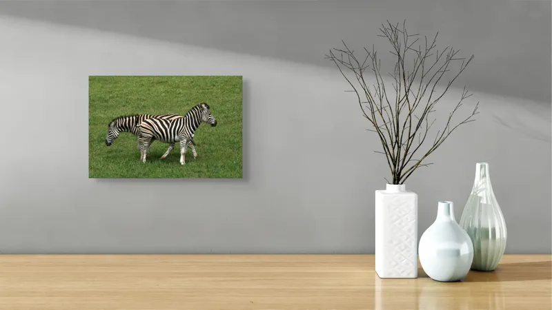Tablou Canvas, "Zebre pășunând pe câmpie verde", Zebre, Iarbă, Dungi, Plimbare, Natură, Safari, Africa, Animale, Strălucire, Verde, Libertate, 39 x 26 cm – poza 8