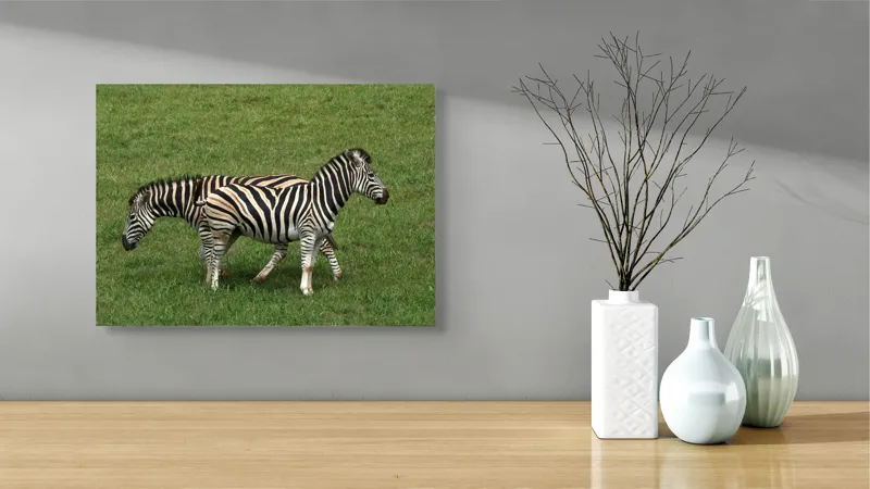 Tablou Canvas, "Zebre pășunând pe câmpie verde", Zebre, Iarbă, Dungi, Plimbare, Natură, Safari, Africa, Animale, Strălucire, Verde, Libertate, 54 x 39 cm – poza 3