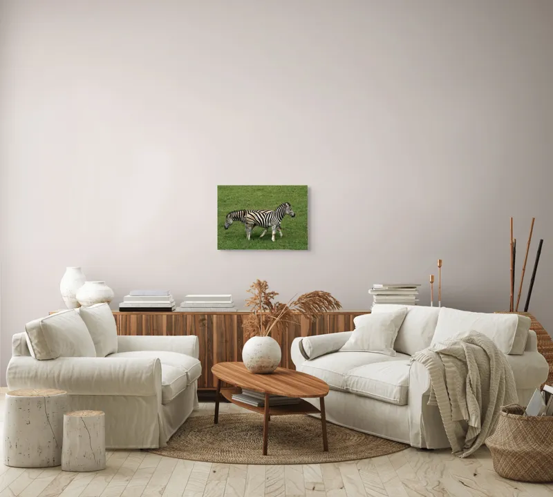 Tablou Canvas, "Zebre pășunând pe câmpie verde", Zebre, Iarbă, Dungi, Plimbare, Natură, Safari, Africa, Animale, Strălucire, Verde, Libertate, 54 x 39 cm – poza 5