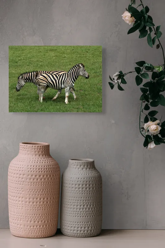Tablou Canvas, "Zebre pășunând pe câmpie verde", Zebre, Iarbă, Dungi, Plimbare, Natură, Safari, Africa, Animale, Strălucire, Verde, Libertate, 54 x 39 cm – poza 8