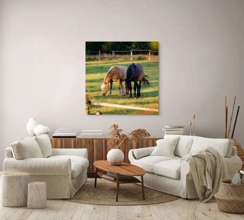 Tablou Canvas, "Doi cai păscând relaxați împreună", Cal, Pășune, Verdeață, Gard, Lumină, Blană, Împreună, Natură, 100 x 100 cm – poza 3