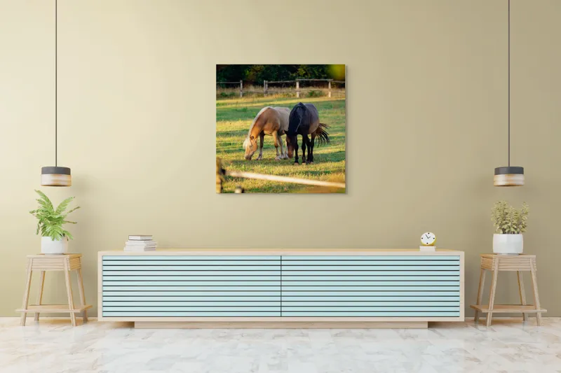 Tablou Canvas, "Doi cai păscând relaxați împreună", Cal, Pășune, Verdeață, Gard, Lumină, Blană, Împreună, Natură, 100 x 100 cm – poza 5