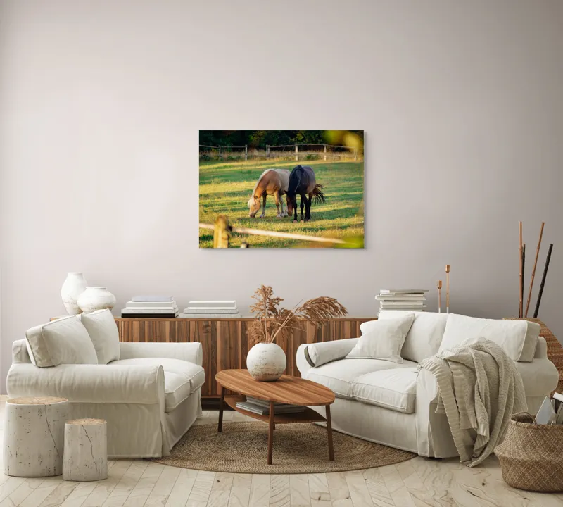 Tablou Canvas, "Doi cai păscând relaxați împreună", Cal, Pășune, Verdeață, Gard, Lumină, Blană, Împreună, Natură, 100 x 70 cm – poza 3