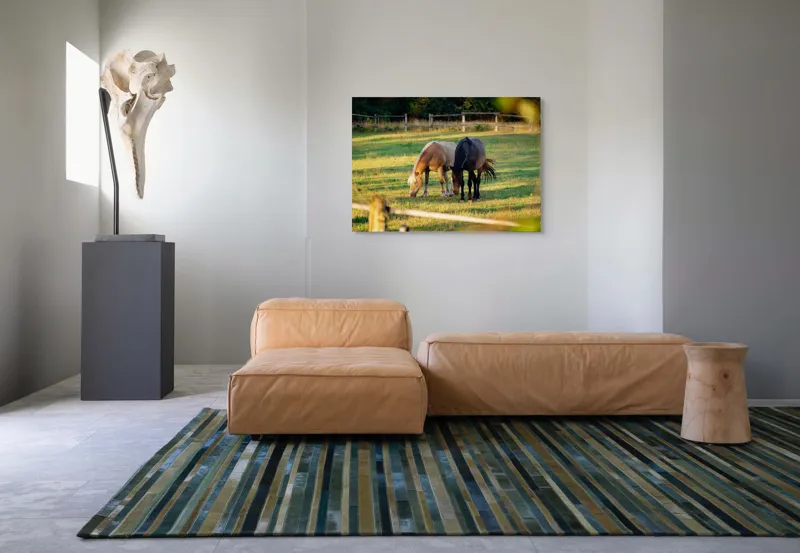 Tablou Canvas, "Doi cai păscând relaxați împreună", Cal, Pășune, Verdeață, Gard, Lumină, Blană, Împreună, Natură, 100 x 70 cm – poza 7