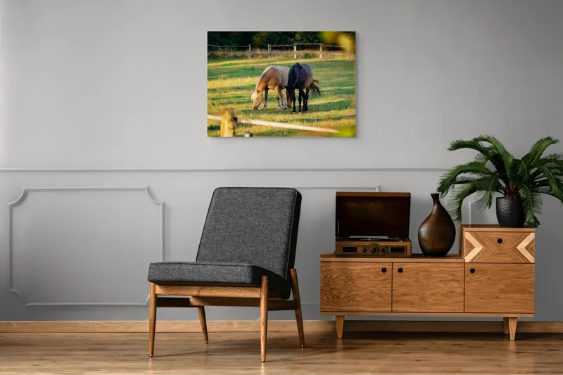 Tablou Canvas, "Doi cai păscând relaxați împreună", Cal, Pășune, Verdeață, Gard, Lumină, Blană, Împreună, Natură, 100 x 70 cm – poza 8