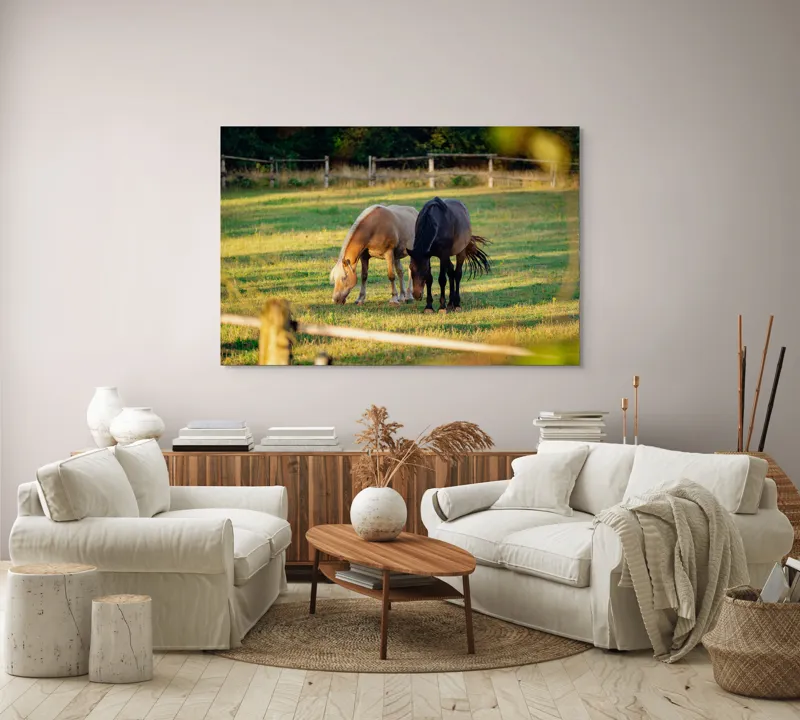 Tablou Canvas, "Doi cai păscând relaxați împreună", Cal, Pășune, Verdeață, Gard, Lumină, Blană, Împreună, Natură, 150 x 100 cm – poza 3
