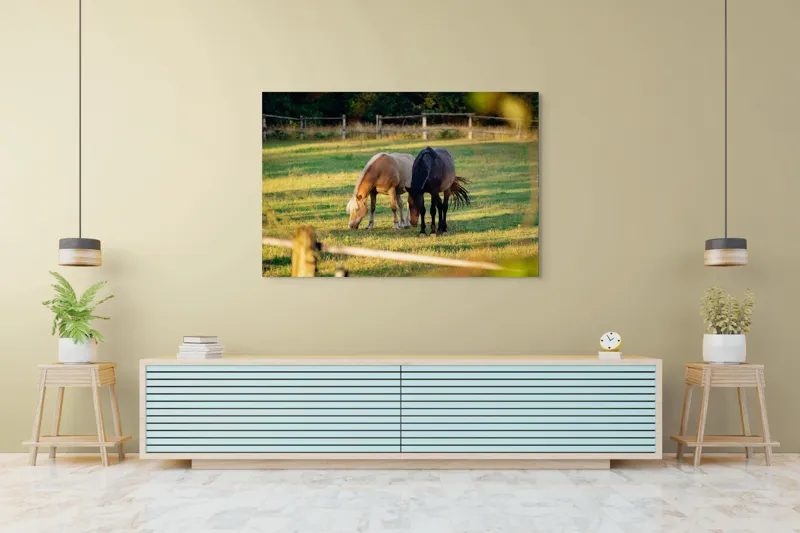 Tablou Canvas, "Doi cai păscând relaxați împreună", Cal, Pășune, Verdeață, Gard, Lumină, Blană, Împreună, Natură, 150 x 100 cm – poza 6
