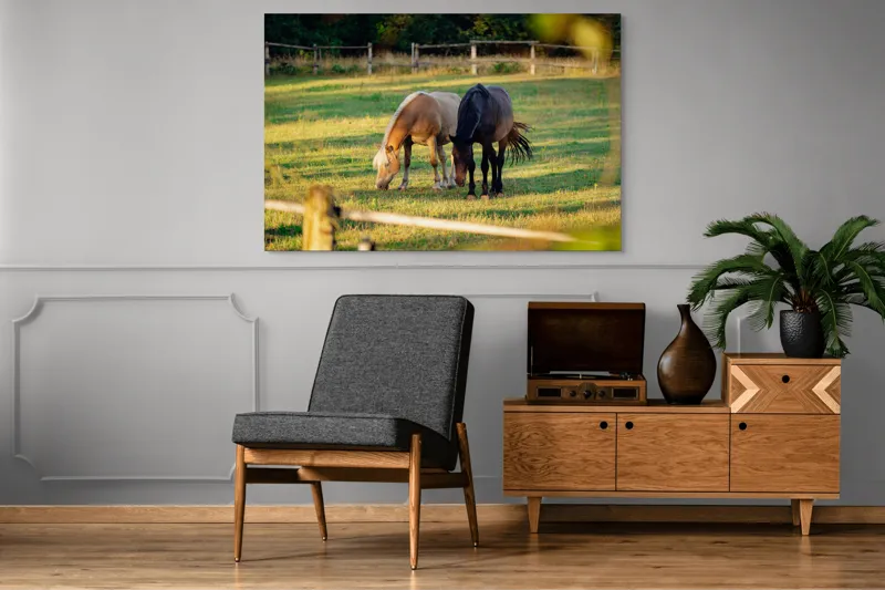 Tablou Canvas, "Doi cai păscând relaxați împreună", Cal, Pășune, Verdeață, Gard, Lumină, Blană, Împreună, Natură, 150 x 100 cm – poza 8