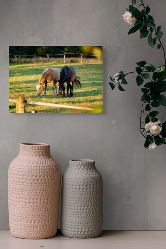 Tablou Canvas, "Doi cai păscând relaxați împreună", Cal, Pășune, Verdeață, Gard, Lumină, Blană, Împreună, Natură, 54 x 39 cm – poza 8