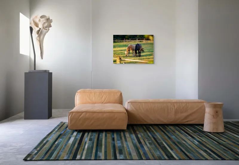 Tablou Canvas, "Doi cai păscând relaxați împreună", Cal, Pășune, Verdeață, Gard, Lumină, Blană, Împreună, Natură, 70 x 50 cm – poza 8