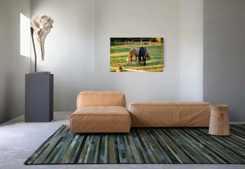 Tablou Canvas, "Doi cai păscând relaxați împreună", Cal, Pășune, Verdeață, Gard, Lumină, Blană, Împreună, Natură, 90 x 50 cm – poza 8