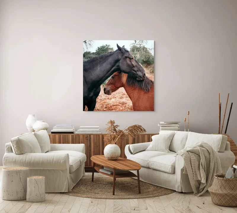 Tablou Canvas, "Îmbrățișarea cailor sub cer senin", Cai, Afectiune, Camp, Natura, Liniste, Peisaj, Culori, Calmitate, 100 x 100 cm – poza 3