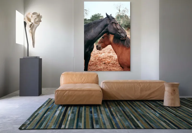Tablou Canvas, "Îmbrățișarea cailor sub cer senin", Cai, Afectiune, Camp, Natura, Liniste, Peisaj, Culori, Calmitate, 100 x 150 cm – poza 7