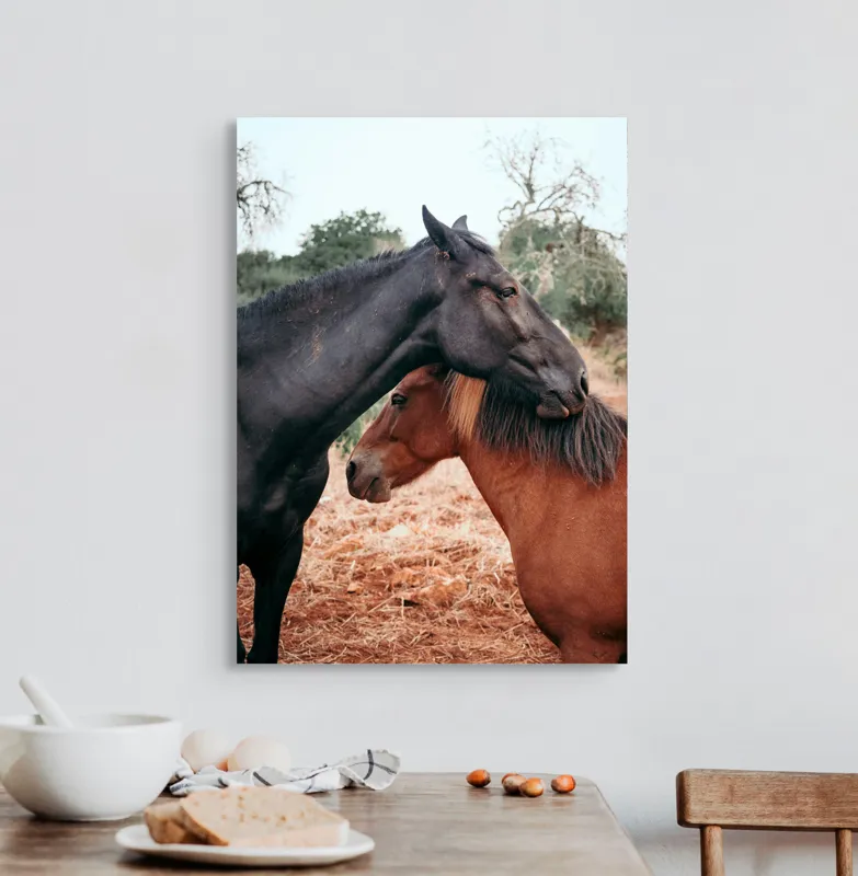 Tablou Canvas, "Îmbrățișarea cailor sub cer senin", Cai, Afectiune, Camp, Natura, Liniste, Peisaj, Culori, Calmitate, 50 x 70 cm – poza 3
