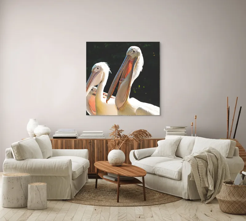 Tablou Canvas, "Pelicani la soare în grup prietenos", Pelicani, Penaj, Ciocuri, Natura, Verdeață, Lumină, Grup, Serenitate, 100 x 100 cm – poza 3