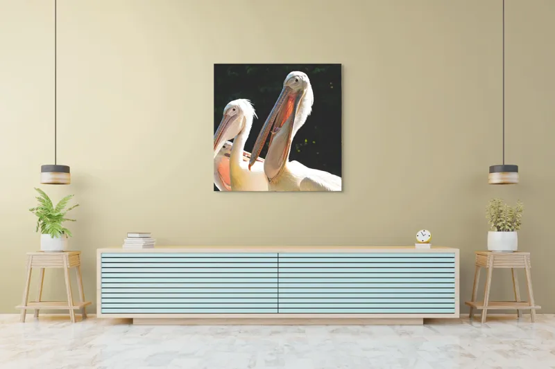 Tablou Canvas, "Pelicani la soare în grup prietenos", Pelicani, Penaj, Ciocuri, Natura, Verdeață, Lumină, Grup, Serenitate, 100 x 100 cm – poza 5