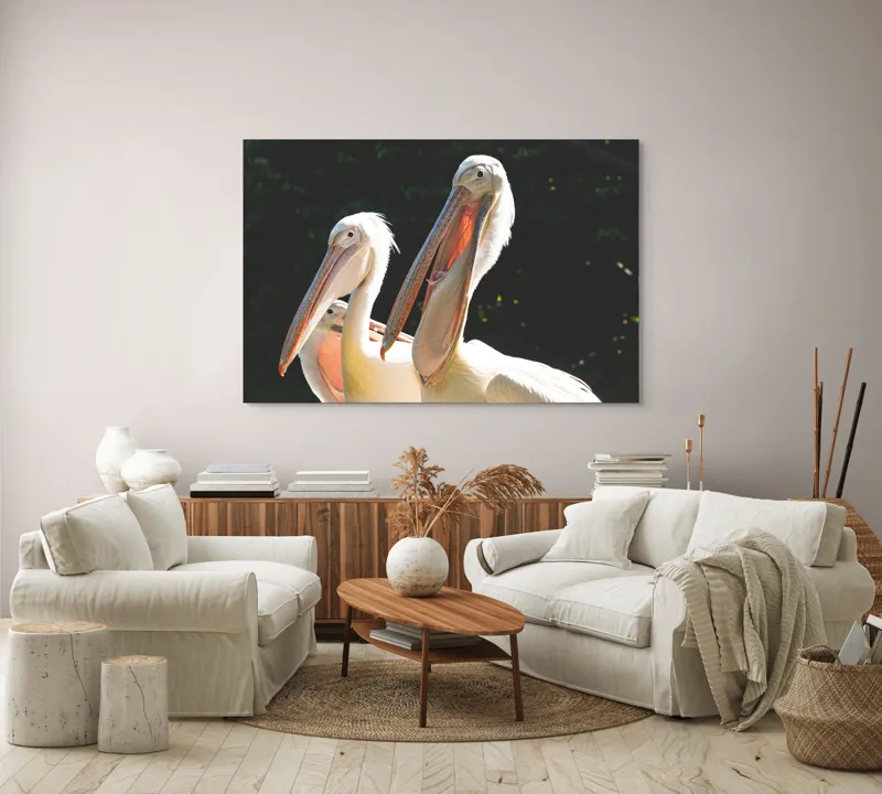 Tablou Canvas, "Pelicani la soare în grup prietenos", Pelicani, Penaj, Ciocuri, Natura, Verdeață, Lumină, Grup, Serenitate, 150 x 100 cm – poza 3