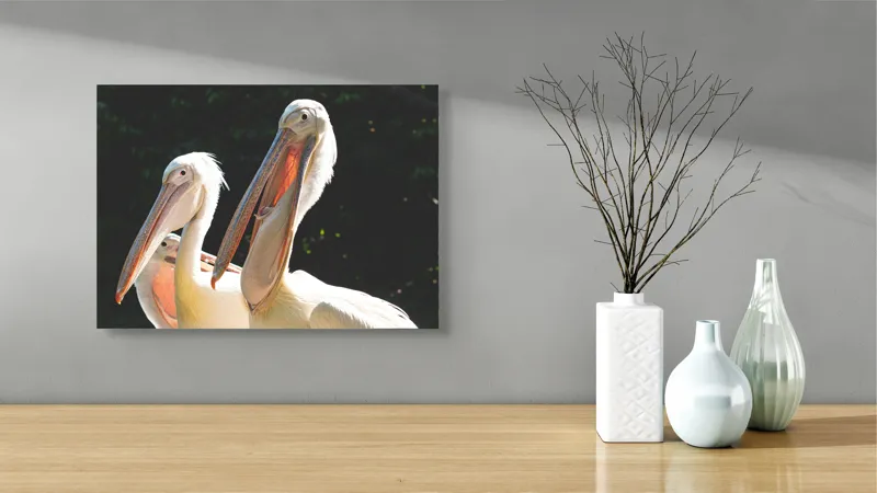 Tablou Canvas, "Pelicani la soare în grup prietenos", Pelicani, Penaj, Ciocuri, Natura, Verdeață, Lumină, Grup, Serenitate, 54 x 39 cm – poza 3
