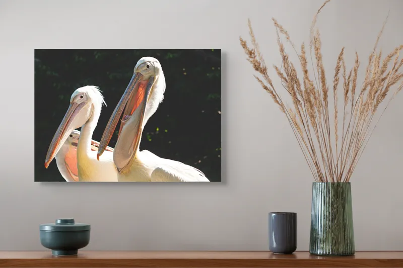 Tablou Canvas, "Pelicani la soare în grup prietenos", Pelicani, Penaj, Ciocuri, Natura, Verdeață, Lumină, Grup, Serenitate, 54 x 39 cm – poza 4