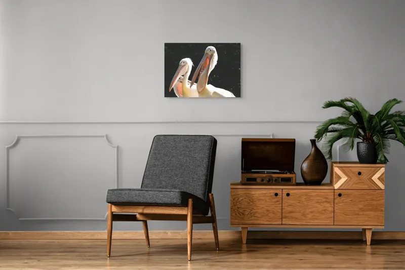 Tablou Canvas, "Pelicani la soare în grup prietenos", Pelicani, Penaj, Ciocuri, Natura, Verdeață, Lumină, Grup, Serenitate, 70 x 50 cm – poza 4