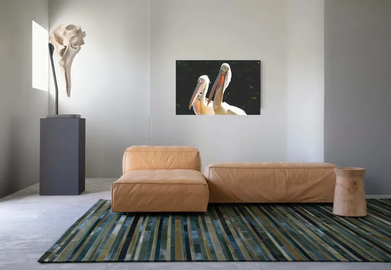 Tablou Canvas, "Pelicani la soare în grup prietenos", Pelicani, Penaj, Ciocuri, Natura, Verdeață, Lumină, Grup, Serenitate, 90 x 50 cm – poza 8