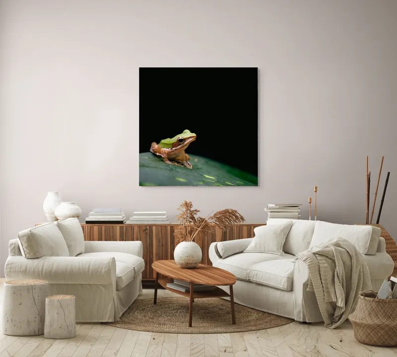 Tablou Canvas, "Broasca pe frunza verde întunecată", Broască, Frunză, Verde, Noapte, Solitudine, Observație, Natură, 100 x 100 cm – poza 3