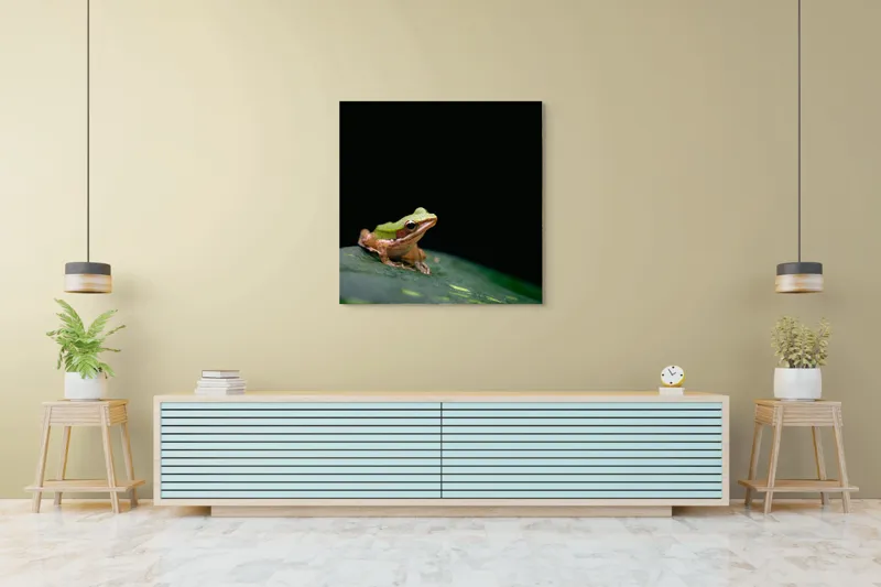 Tablou Canvas, "Broasca pe frunza verde întunecată", Broască, Frunză, Verde, Noapte, Solitudine, Observație, Natură, 100 x 100 cm – poza 5