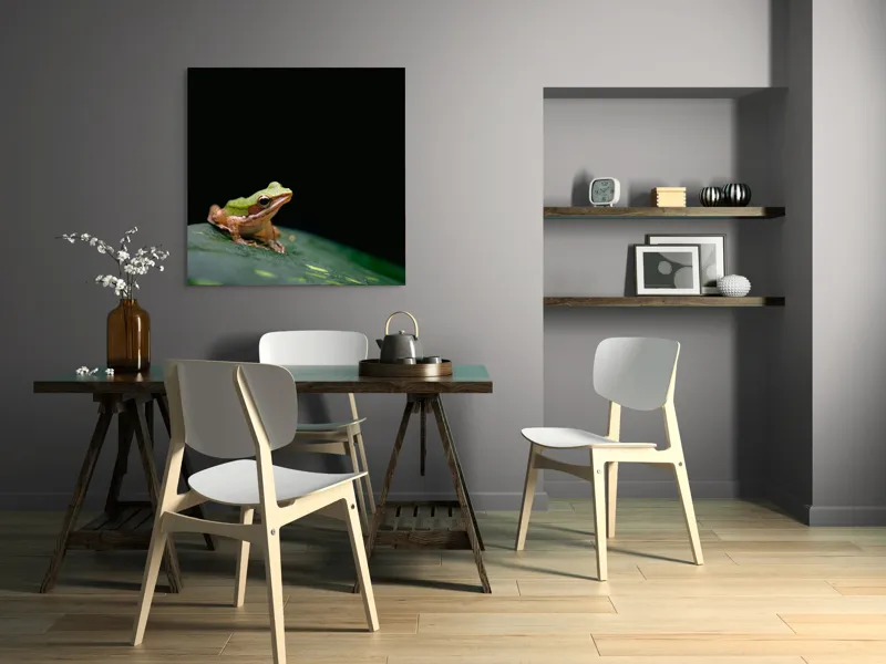 Tablou Canvas, "Broasca pe frunza verde întunecată", Broască, Frunză, Verde, Noapte, Solitudine, Observație, Natură, 100 x 100 cm – poza 6