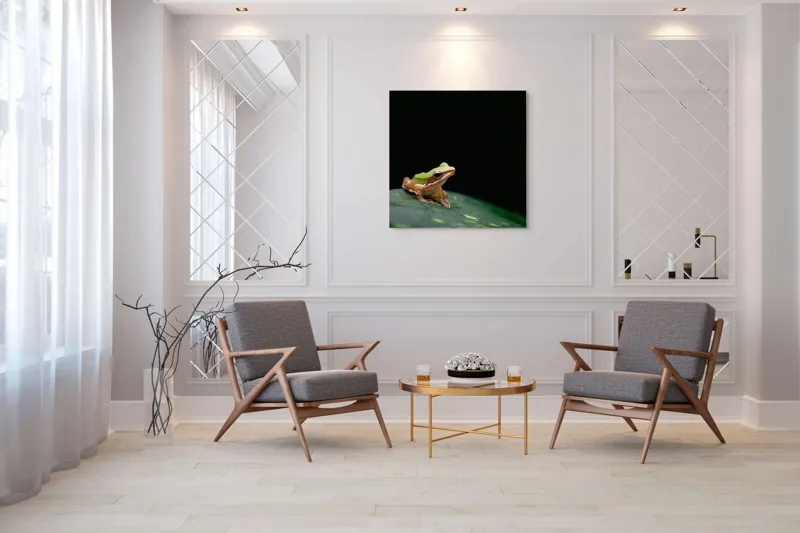 Tablou Canvas, "Broasca pe frunza verde întunecată", Broască, Frunză, Verde, Noapte, Solitudine, Observație, Natură, 100 x 100 cm – poza 7