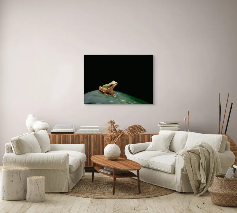 Tablou Canvas, "Broasca pe frunza verde întunecată", Broască, Frunză, Verde, Noapte, Solitudine, Observație, Natură, 100 x 70 cm – poza 3