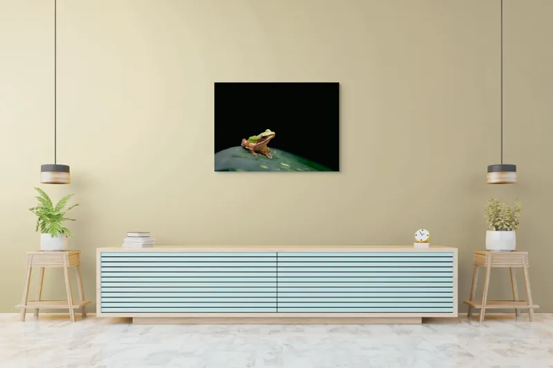 Tablou Canvas, "Broasca pe frunza verde întunecată", Broască, Frunză, Verde, Noapte, Solitudine, Observație, Natură, 100 x 70 cm – poza 4