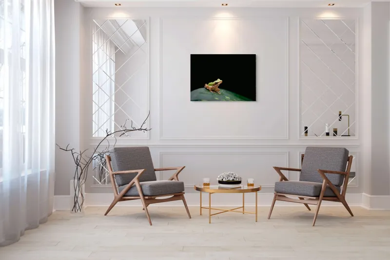 Tablou Canvas, "Broasca pe frunza verde întunecată", Broască, Frunză, Verde, Noapte, Solitudine, Observație, Natură, 100 x 70 cm – poza 5